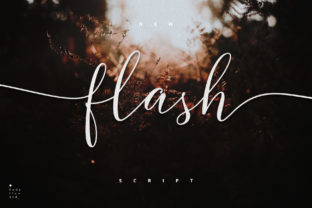 Flash Script: Bold Handwritten Font with a Cool Vibe