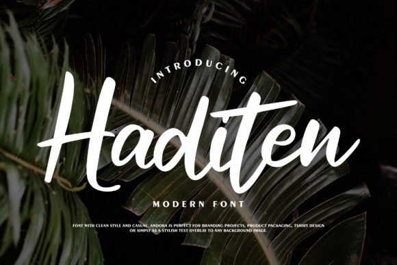 Haditen Script: A Chic Typeface for Confident Branding